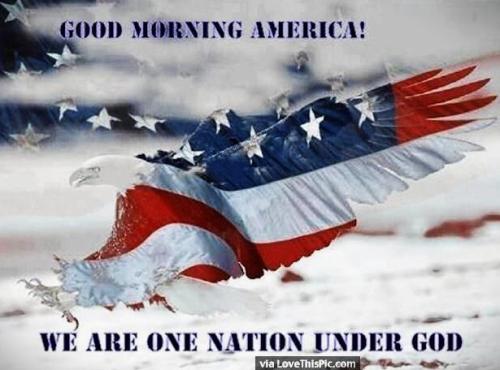 1119250 - One Nation Eagle