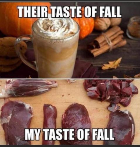 image_F8C5011B-5486-4A6E-88BF-EA3B105DE36D