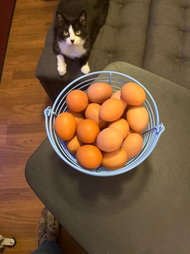 D9A77E05-B5CE-402C-93EA-A23126D1E8A0