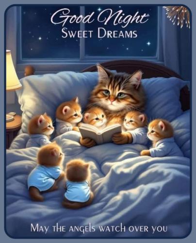 1beeb07b6ae94130ad1a2e159835a7c9