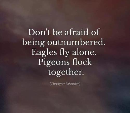 65a3f9566cc7003b256468976b674800