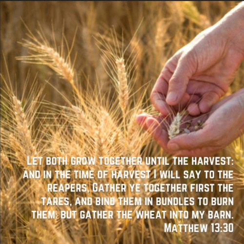 Screenshot_20251115-132011-643