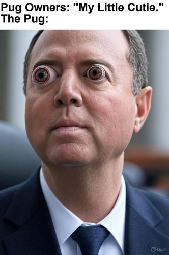 Pug Owners Adam Schiff.960px