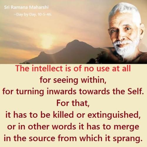 ,         418235313_73391130547