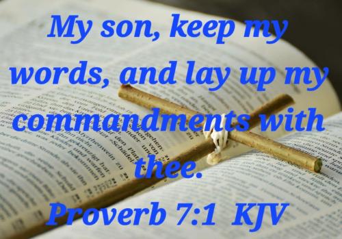 ae1fb161-bee1-45a6-978a-316587004221