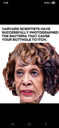 11:31:06 GMT-0600 (CST)