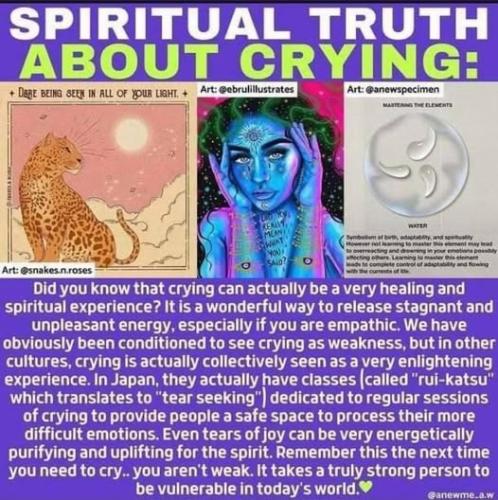 ,          ,  0424775766_746362