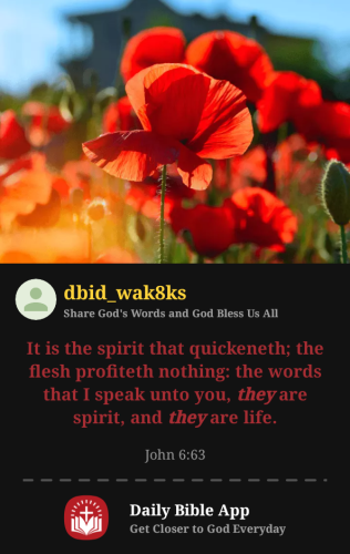 2025-11-231763926075560