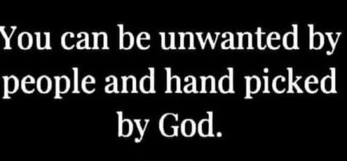 IMG_20251122_195702_195