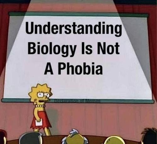 AA448894841_894890212667751_2286997820949813159_n