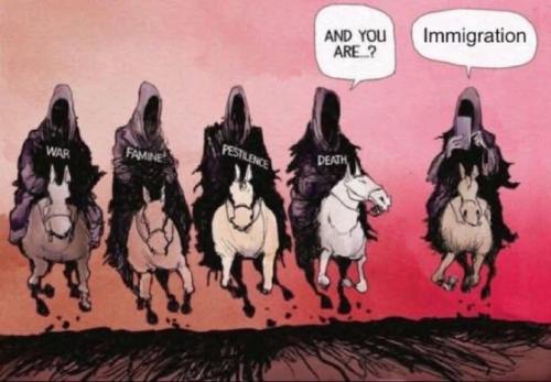 FB_IMG_1764089277035