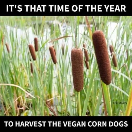 image_FAE593F4-2197-43B9-9853-4A643A7677FE