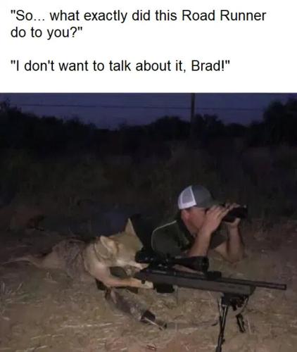 what-did-roadrunner-do