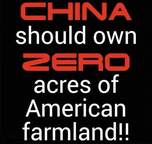 577018358_1156898003290268_7395876746496654044_n