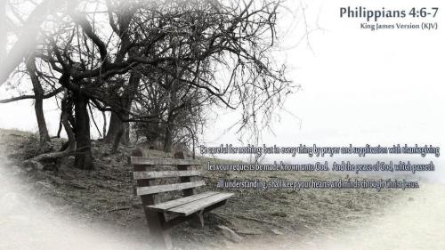 bc19f0fd-b8d3-4f2a-8680-c6f9cc93cfa2