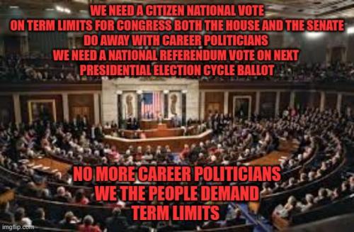 TERMLIMITSREFERINDUMBALLOT