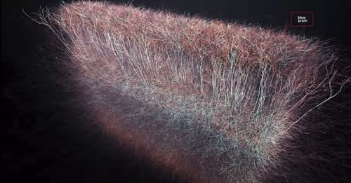 ,         418235313_73391130547