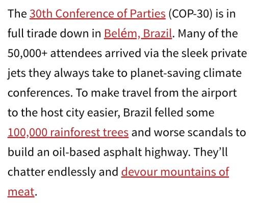 Screenshot_20251116_090411_Samsung Internet
