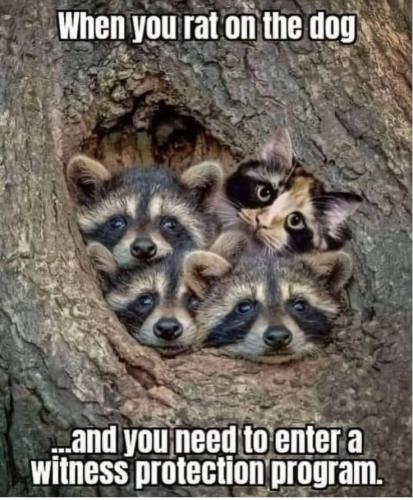 325188b643514689aaaaf319ff496ff3