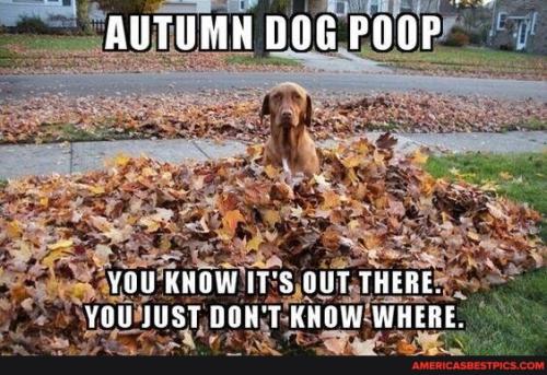 9ee120180e06f580f2e7a6189ee34e9f5cb2bdb783222751b6ee3081b661eec5_1