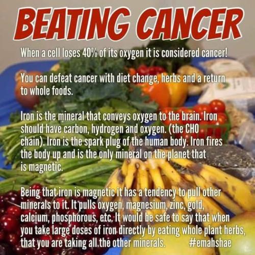 ,          ,  0424775766_746362