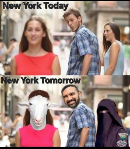 772074CF-FDB8-4DC5-AC32-95C3AAE3C4BC