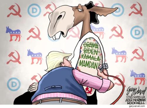 image_BB27F246-4E61-4D29-B770-DD0ADC08E6B5