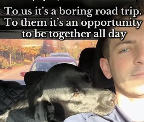 efcd7548bde27be3ba791992ef79154b