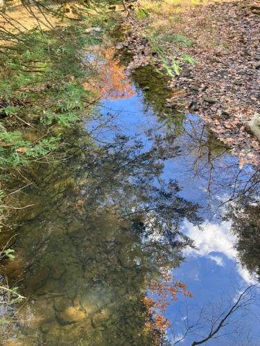 F2A6ED73-7F3B-4371-9AA6-DC8C8E459C4F