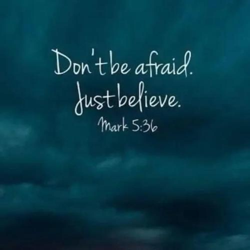 IMG_20251108_233432_840