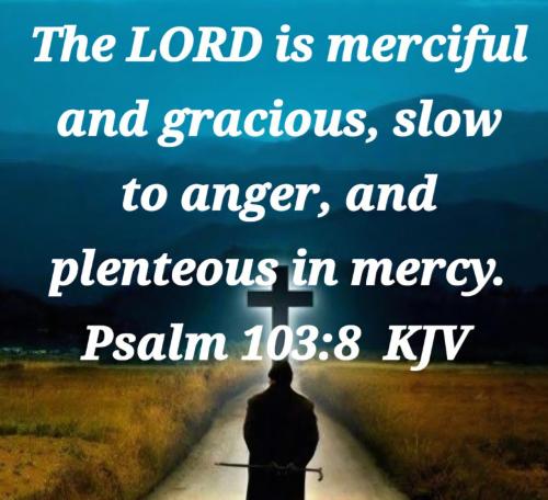 d678bfb5-884d-4cb8-833b-3899090d7343