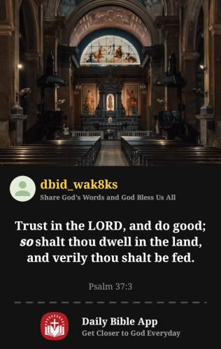 2025-11-211763754652231