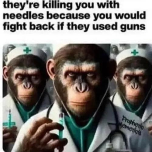 88f4b2bd01caca376700eafaab1e0bf7