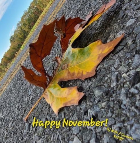 Screenshot_20251101_075954_Gallery