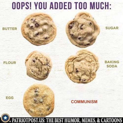 01K9WJ84E1S4DYZZF3SKC512XG