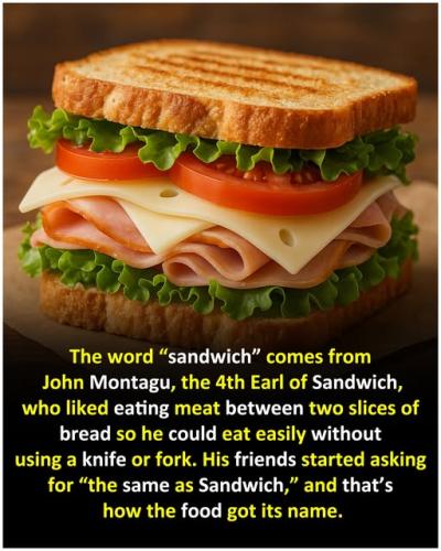 580064080_122223289172122027_425467325227060485_n