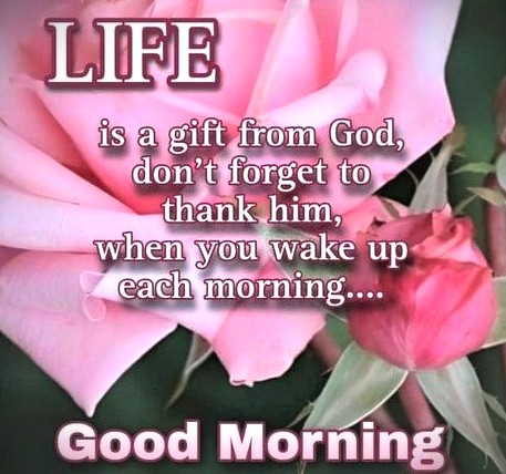 110525 - Life is a gift