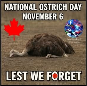 FB_IMG_1762990893722