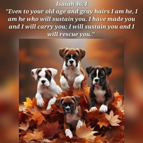 fd11f1d40899795734fedfa334743936