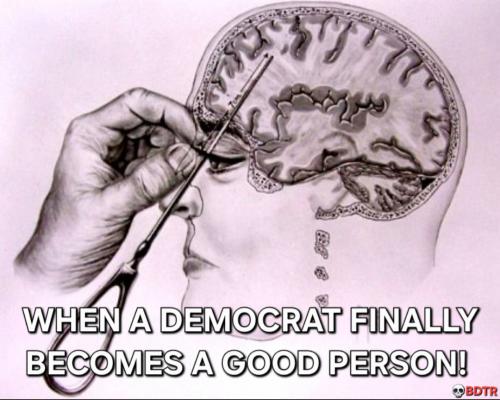 Whenadedemocratbecomesgood1)