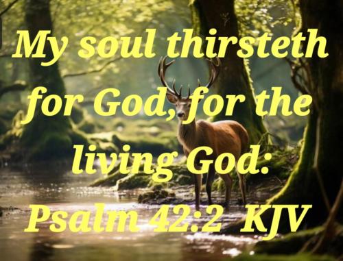 14a7451a-e809-41d4-a69d-bab4040decc2