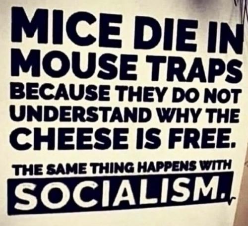 d7138b5e-2a7f-4d9b-b094-2dca762fdb3e