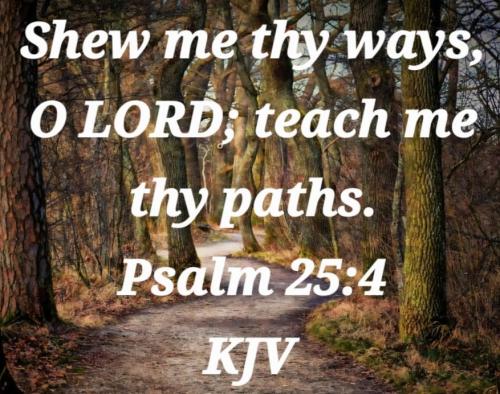 a79c0cb6-0f0a-4c7a-9eaf-49a3acdfaaed