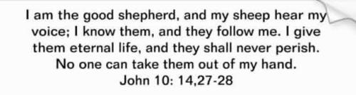 IMG_20251108_233237_485