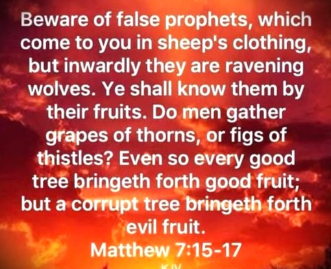 110325 - Beware false prophets, Matt 7-15,17