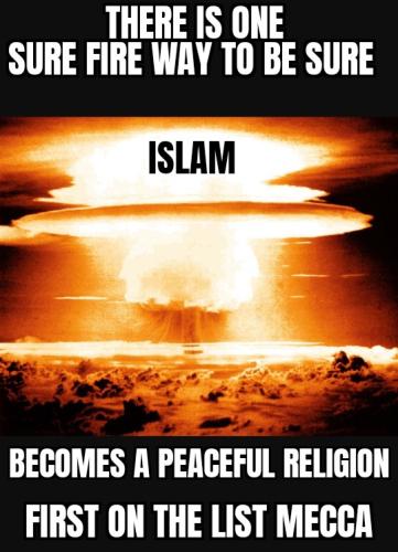 ZomboMeme 11112025125803