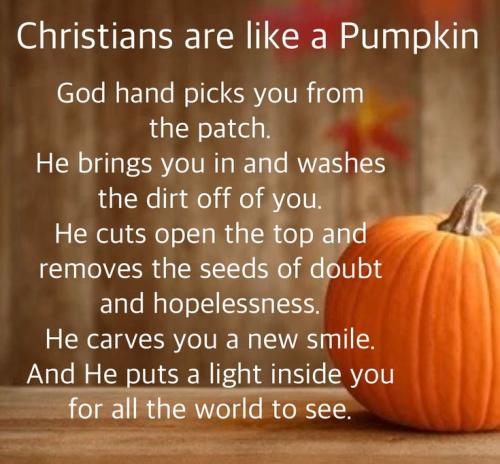 18a41933facd31a76d9eda91328699c2