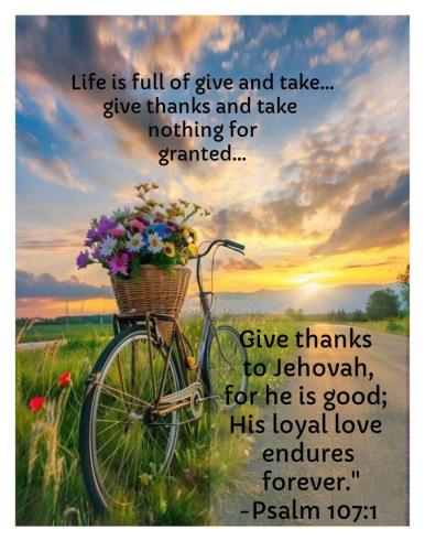 2055a9923cfa8ce65db7fecc00e07284