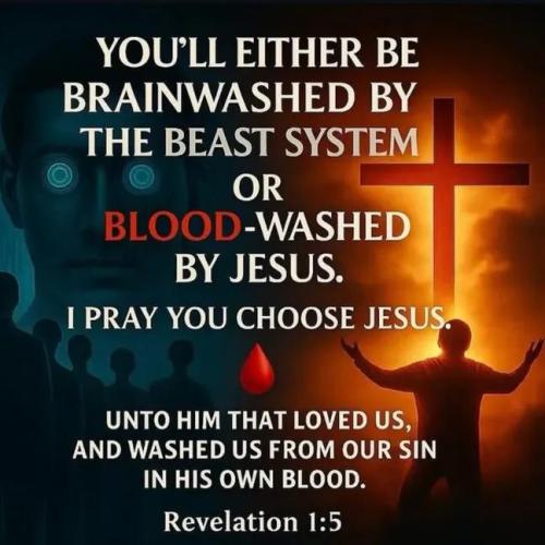 IMG_20251116_142039_730