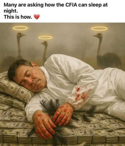 FB_IMG_1762710401918